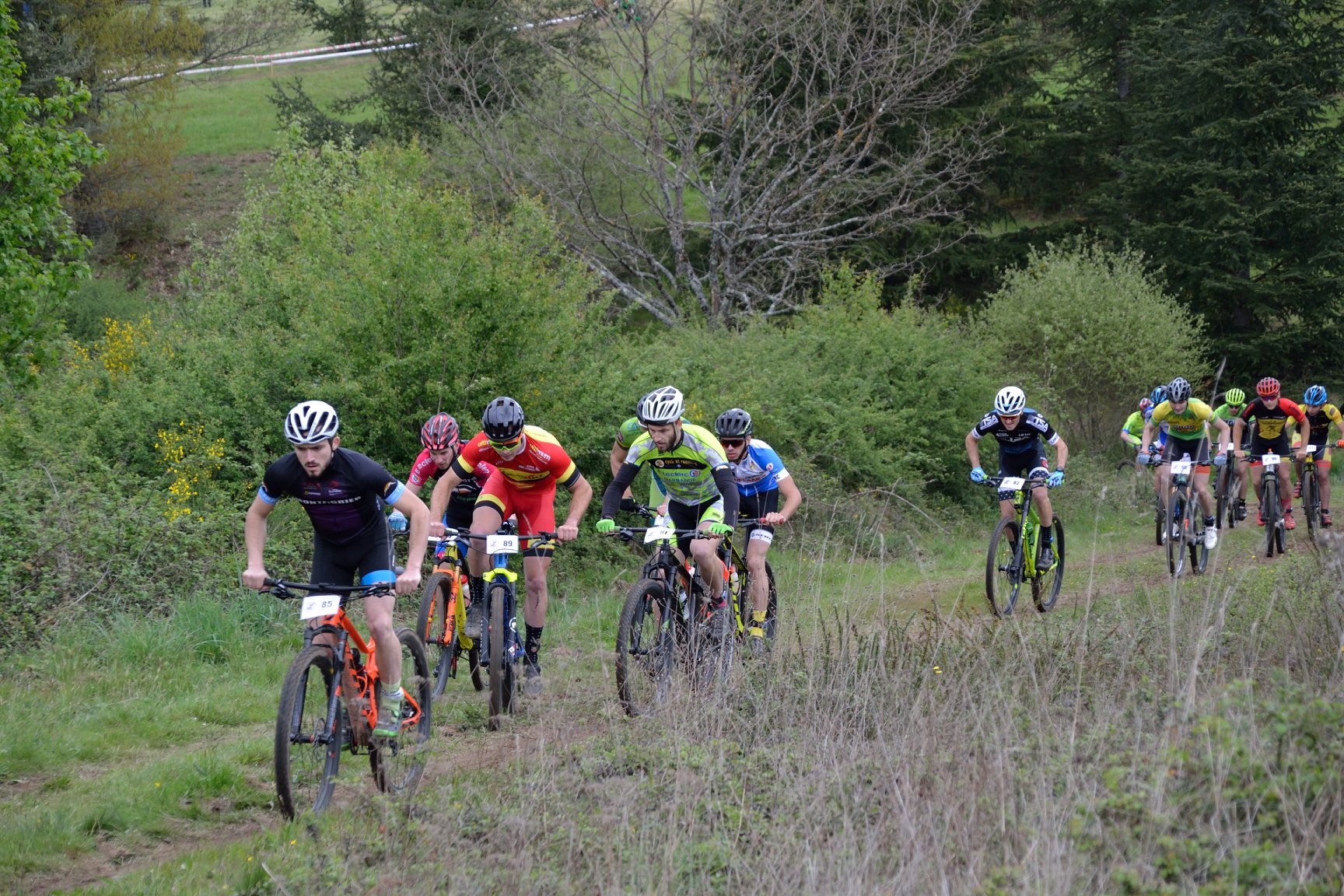 59461293 1264334673725164 2374465028846780416 o